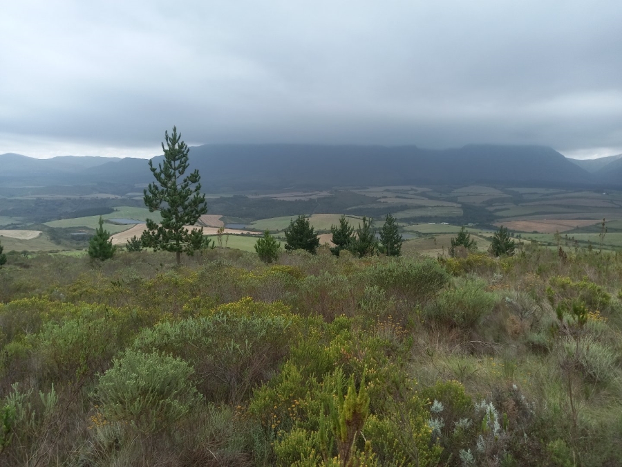  Bedroom Property for Sale in Riversdale Rural Western Cape